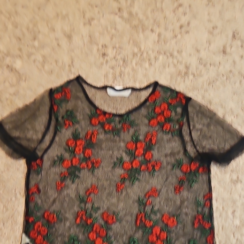 Twinkle By Wenlan Sheer Mesh Embroidered Top - Picture 7 of 11